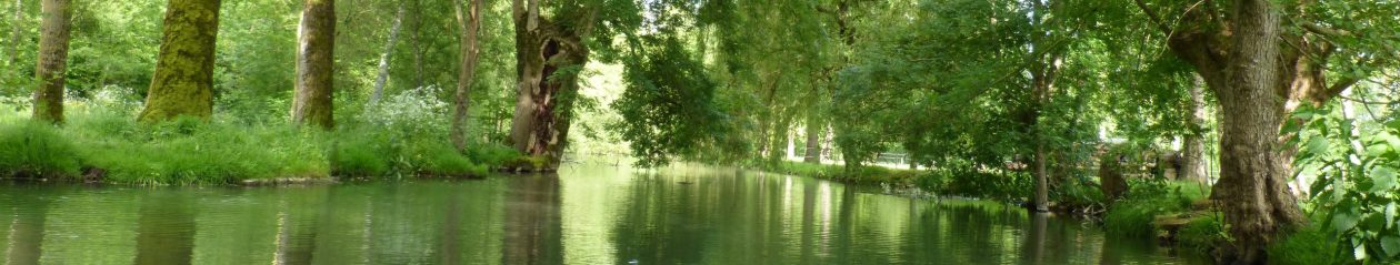 www.moulin-patrimoine-industriel.com